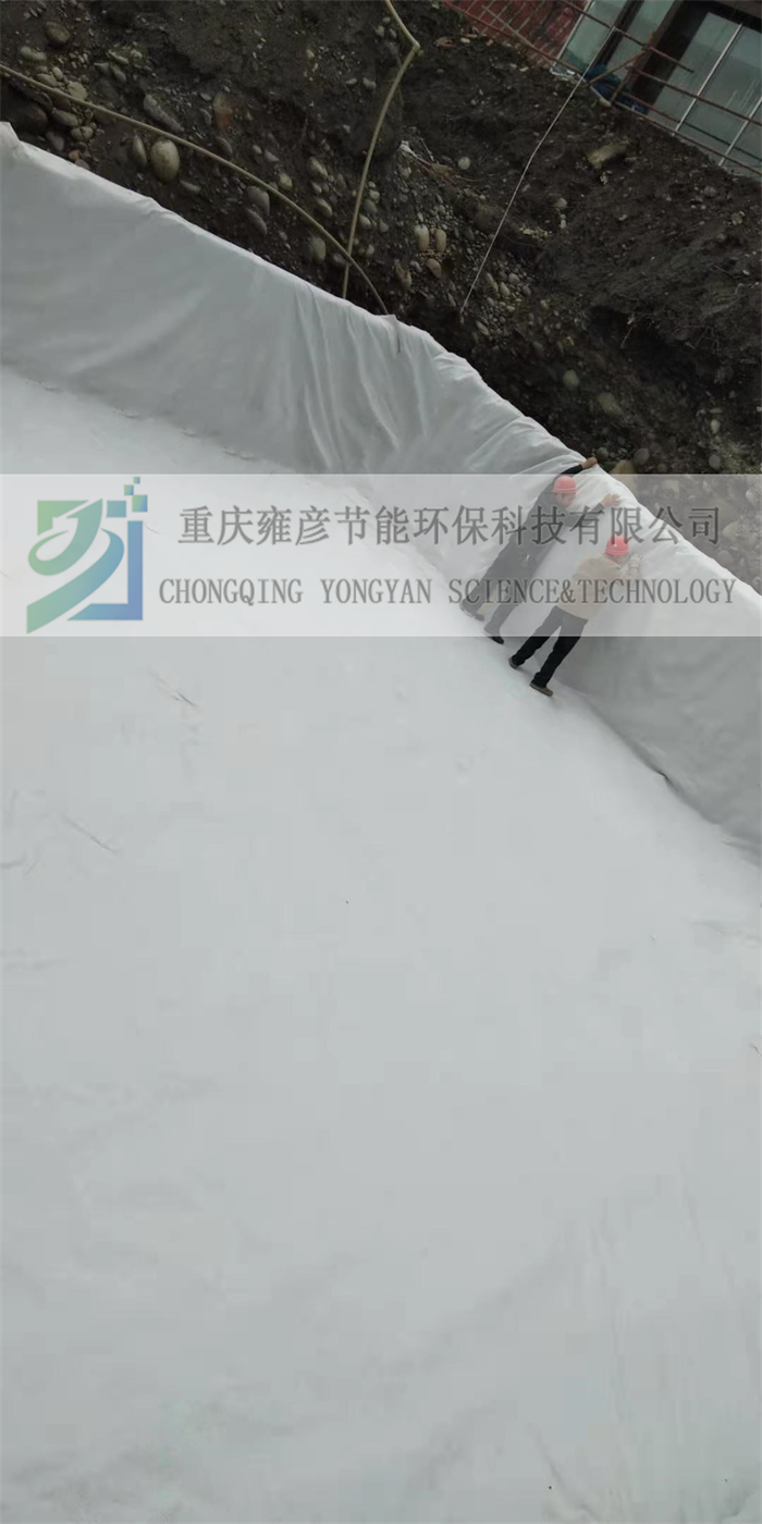 1612504606209392.png
